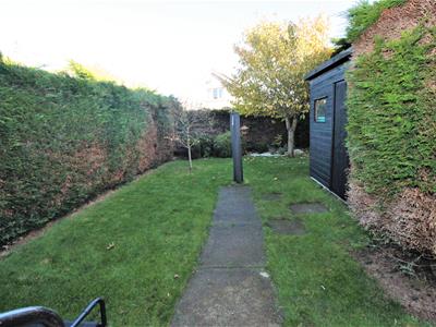 Picture 15